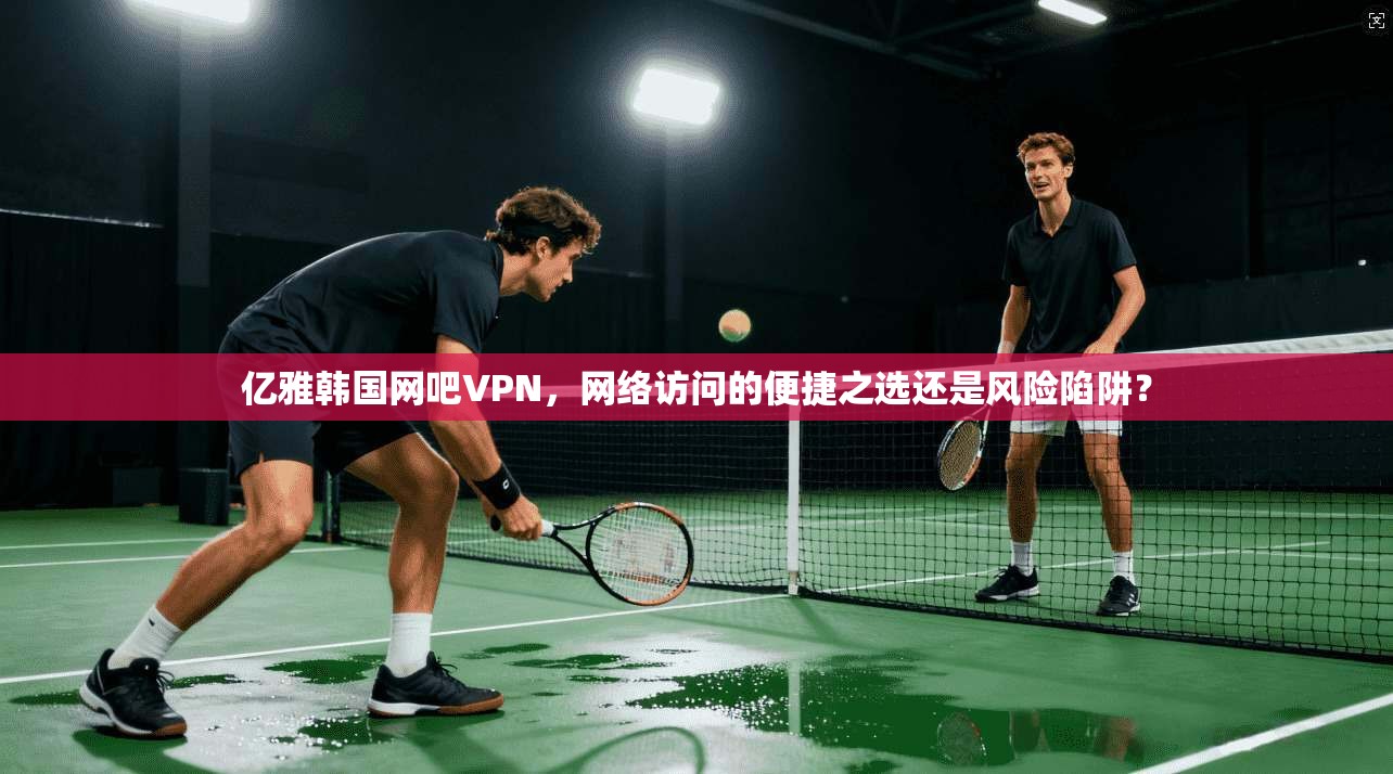 亿雅韩国网吧VPN，网络访问的便捷之选还是风险陷阱？
