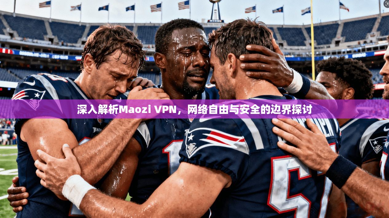 深入解析Maozi VPN，网络自由与安全的边界探讨