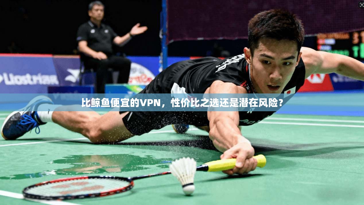 比鲸鱼便宜的VPN，性价比之选还是潜在风险？