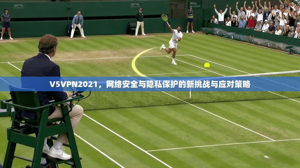 V5VPN2021，网络安全与隐私保护的新挑战与应对策略