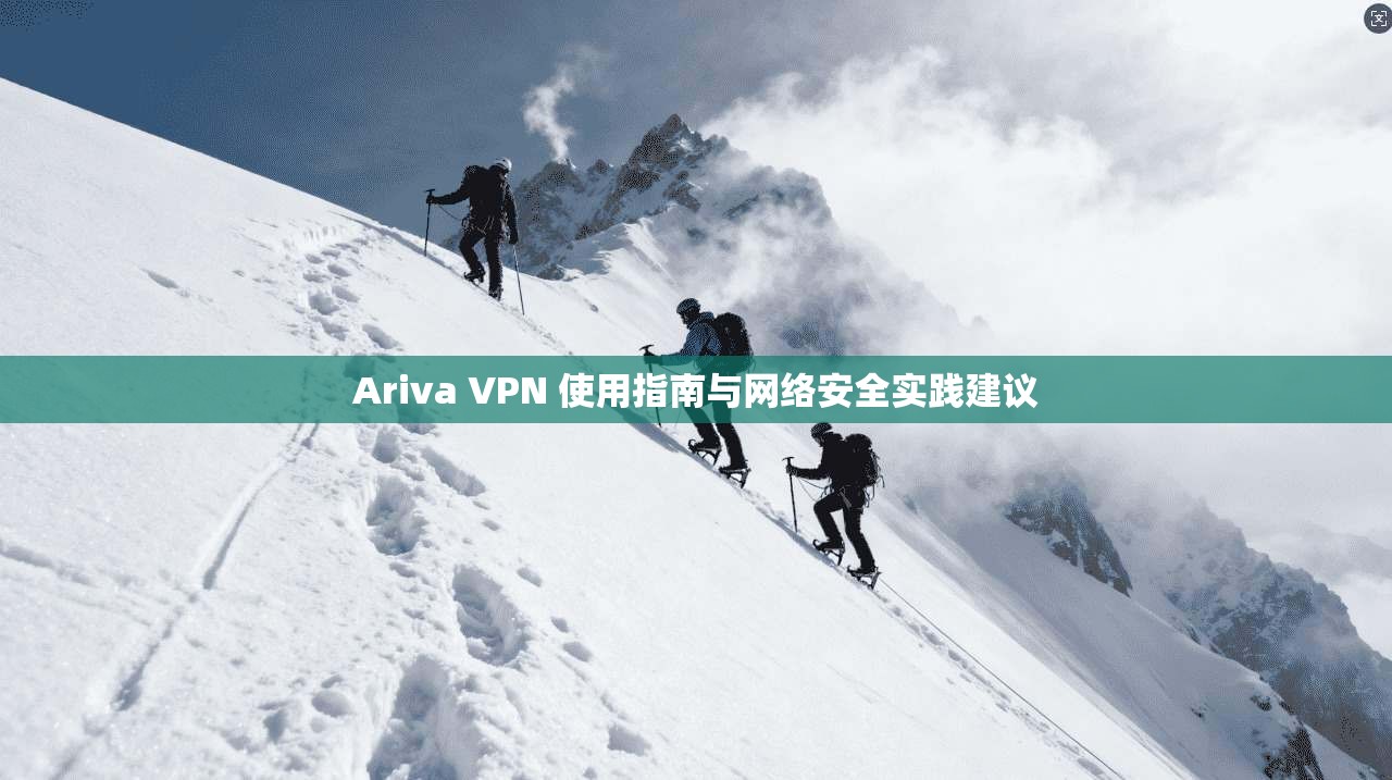 Ariva VPN 使用指南与网络安全实践建议