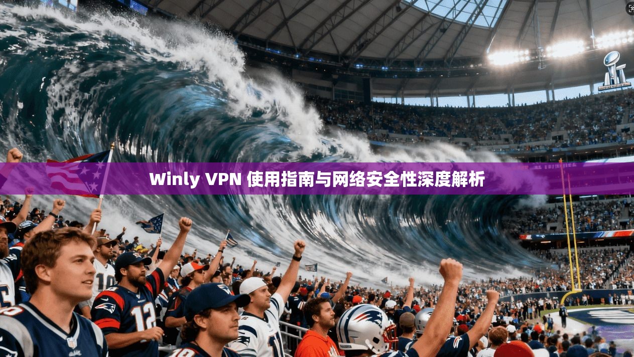 Winly VPN 使用指南与网络安全性深度解析