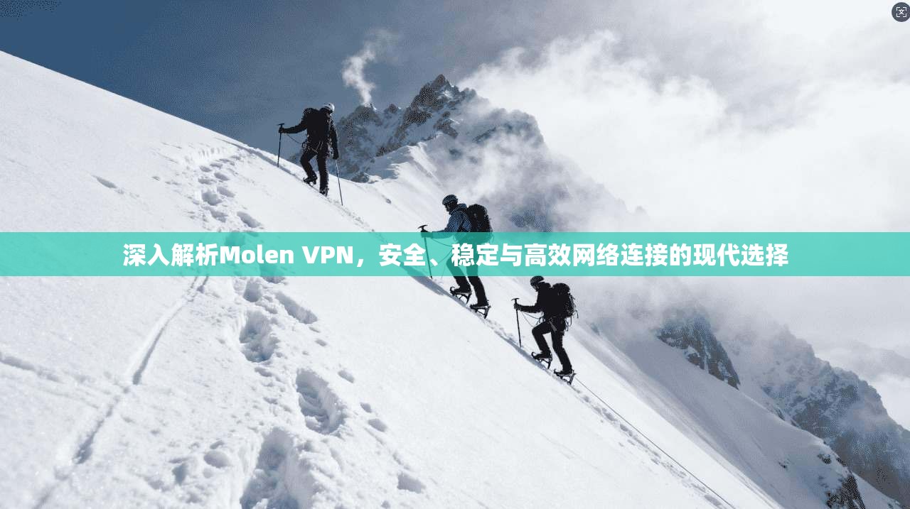 深入解析Molen VPN，安全、稳定与高效网络连接的现代选择
