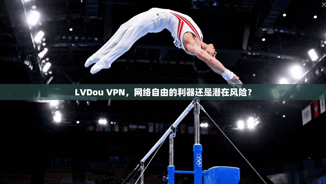 LVDou VPN，网络自由的利器还是潜在风险？