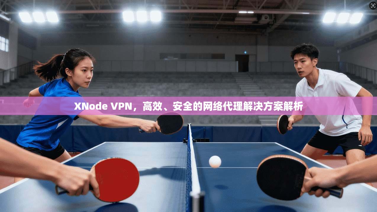 XNode VPN，高效、安全的网络代理解决方案解析