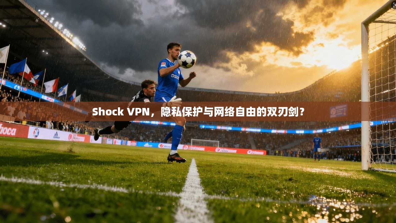Shock VPN，隐私保护与网络自由的双刃剑？