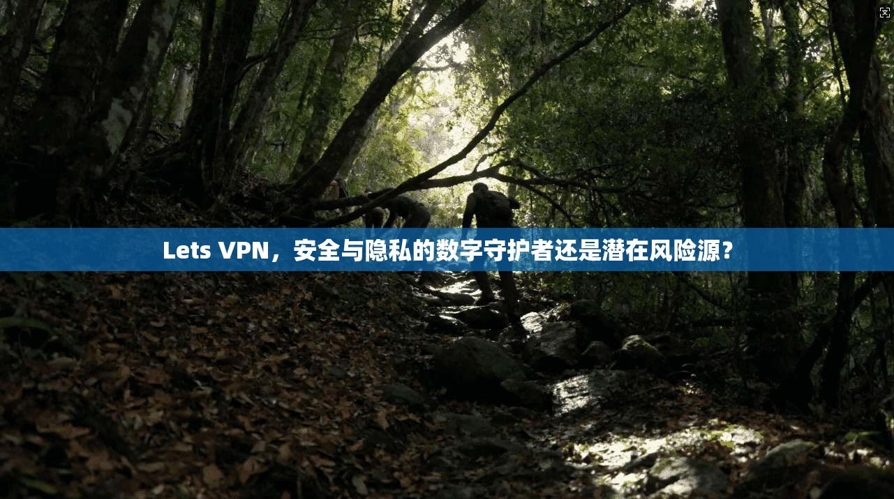 Lets VPN，安全与隐私的数字守护者还是潜在风险源？