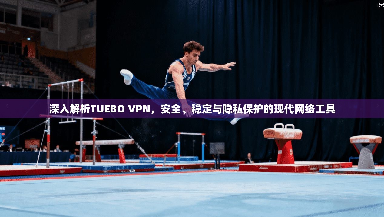 深入解析TUEBO VPN，安全、稳定与隐私保护的现代网络工具