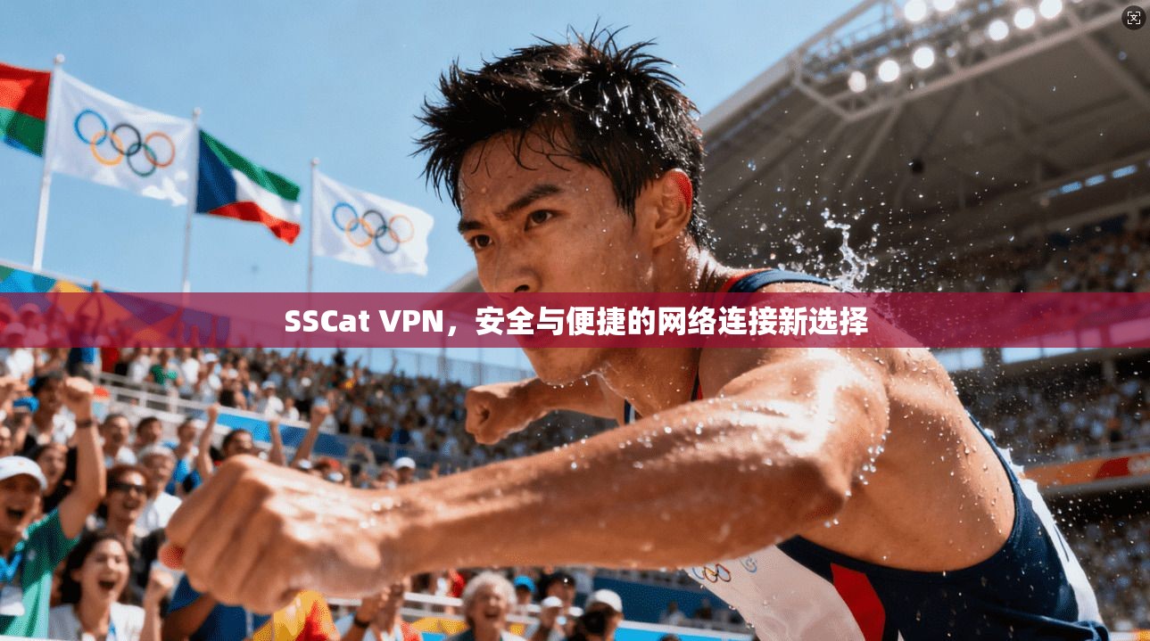 SSCat VPN，安全与便捷的网络连接新选择