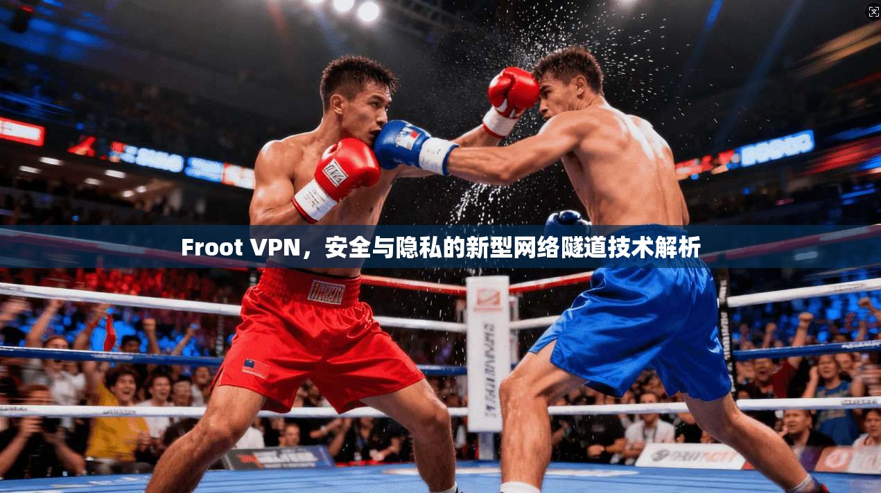 Froot VPN，安全与隐私的新型网络隧道技术解析