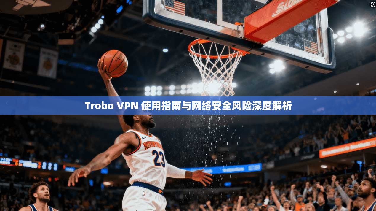 Trobo VPN 使用指南与网络安全风险深度解析