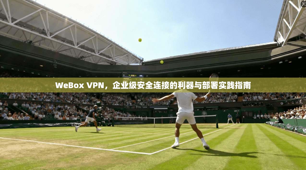 WeBox VPN，企业级安全连接的利器与部署实践指南