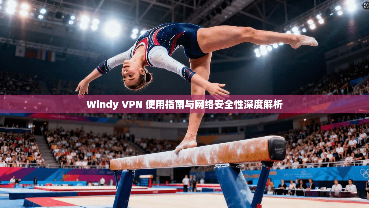 Windy VPN 使用指南与网络安全性深度解析