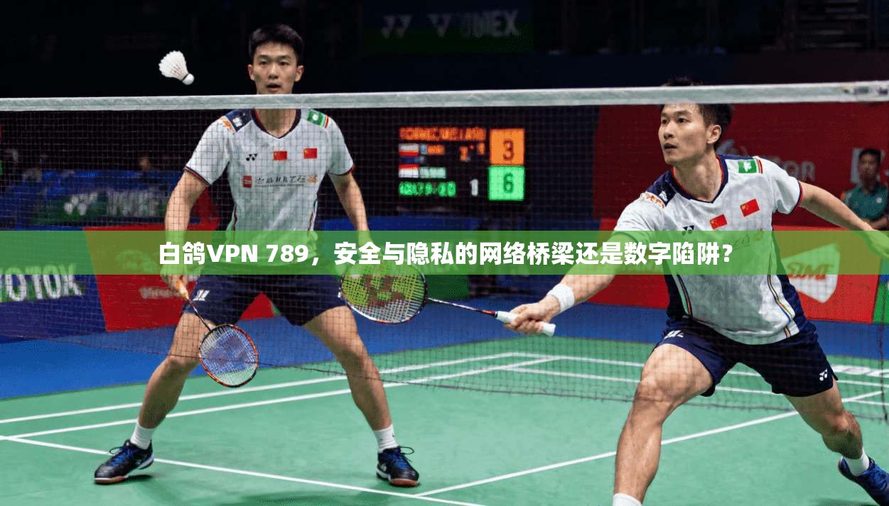 白鸽VPN 789，安全与隐私的网络桥梁还是数字陷阱？