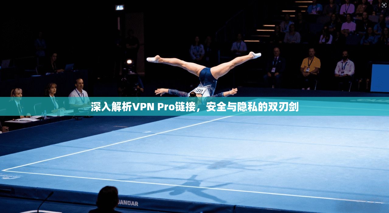 深入解析VPN Pro链接，安全与隐私的双刃剑