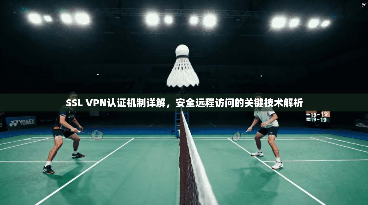 SSL VPN认证机制详解，安全远程访问的关键技术解析