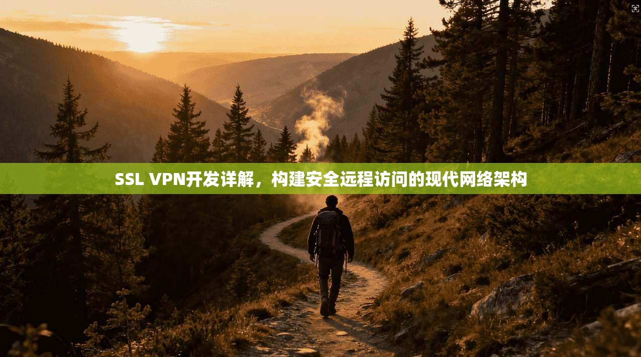 SSL VPN开发详解，构建安全远程访问的现代网络架构
