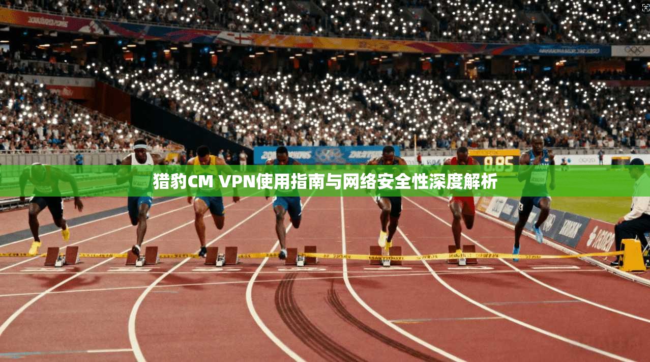 猎豹CM VPN使用指南与网络安全性深度解析