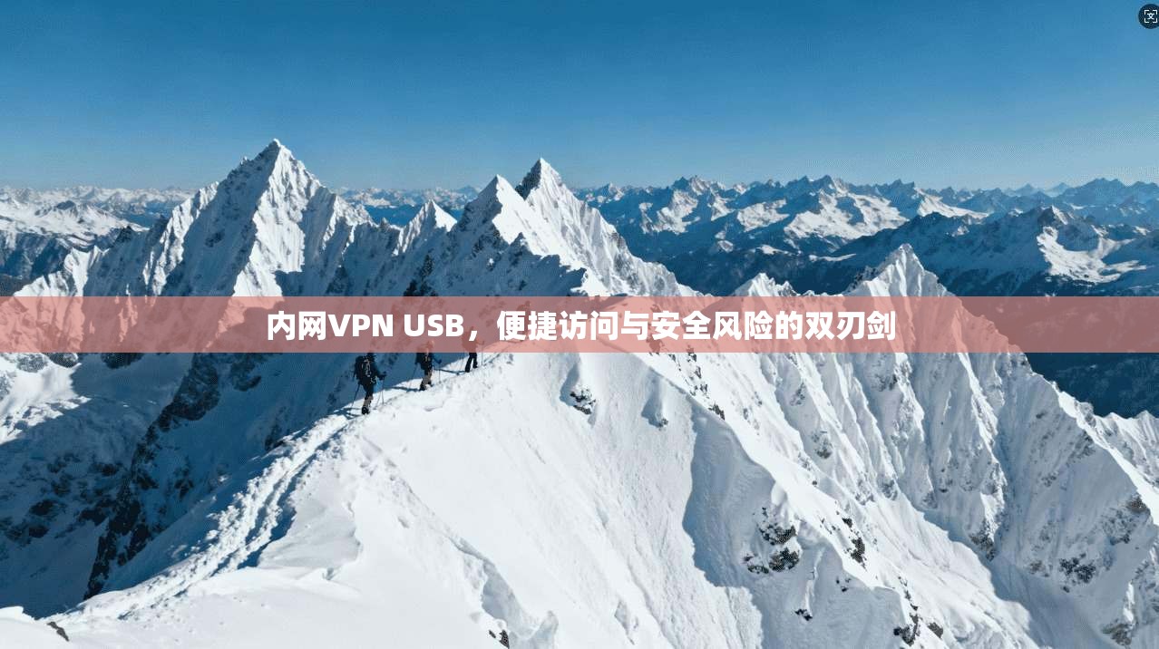 内网VPN USB，便捷访问与安全风险的双刃剑