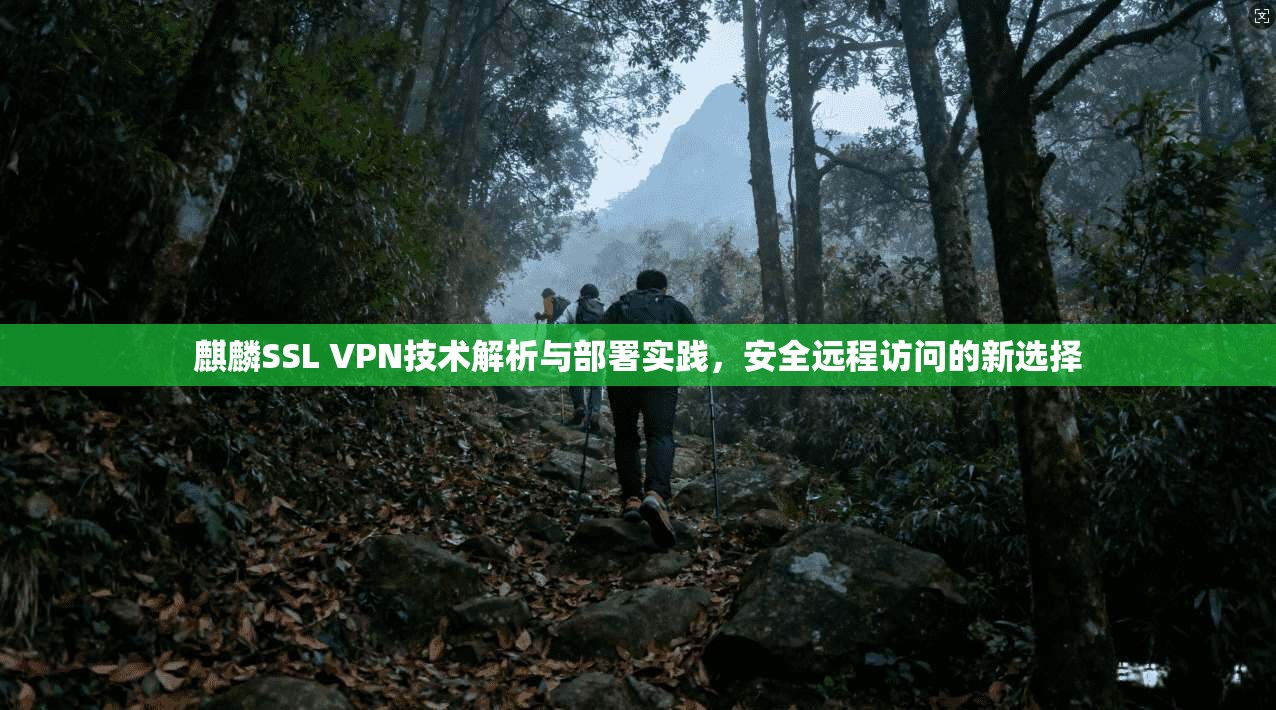 麒麟SSL VPN技术解析与部署实践，安全远程访问的新选择