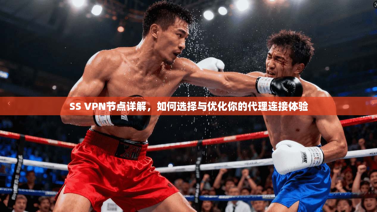 SS VPN节点详解，如何选择与优化你的代理连接体验