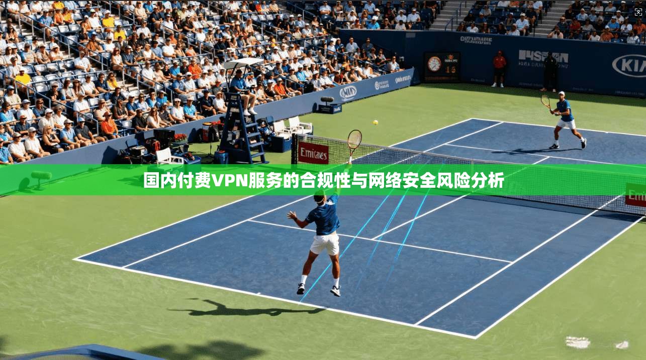 国内付费VPN服务的合规性与网络安全风险分析