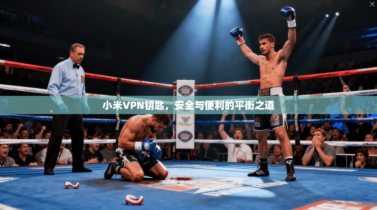 小米VPN钥匙，安全与便利的平衡之道