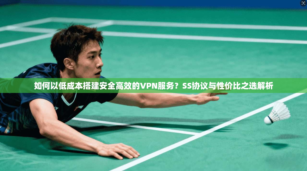 如何以低成本搭建安全高效的VPN服务？SS协议与性价比之选解析