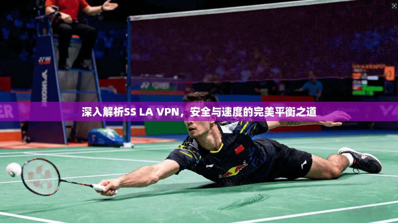 深入解析SS LA VPN，安全与速度的完美平衡之道