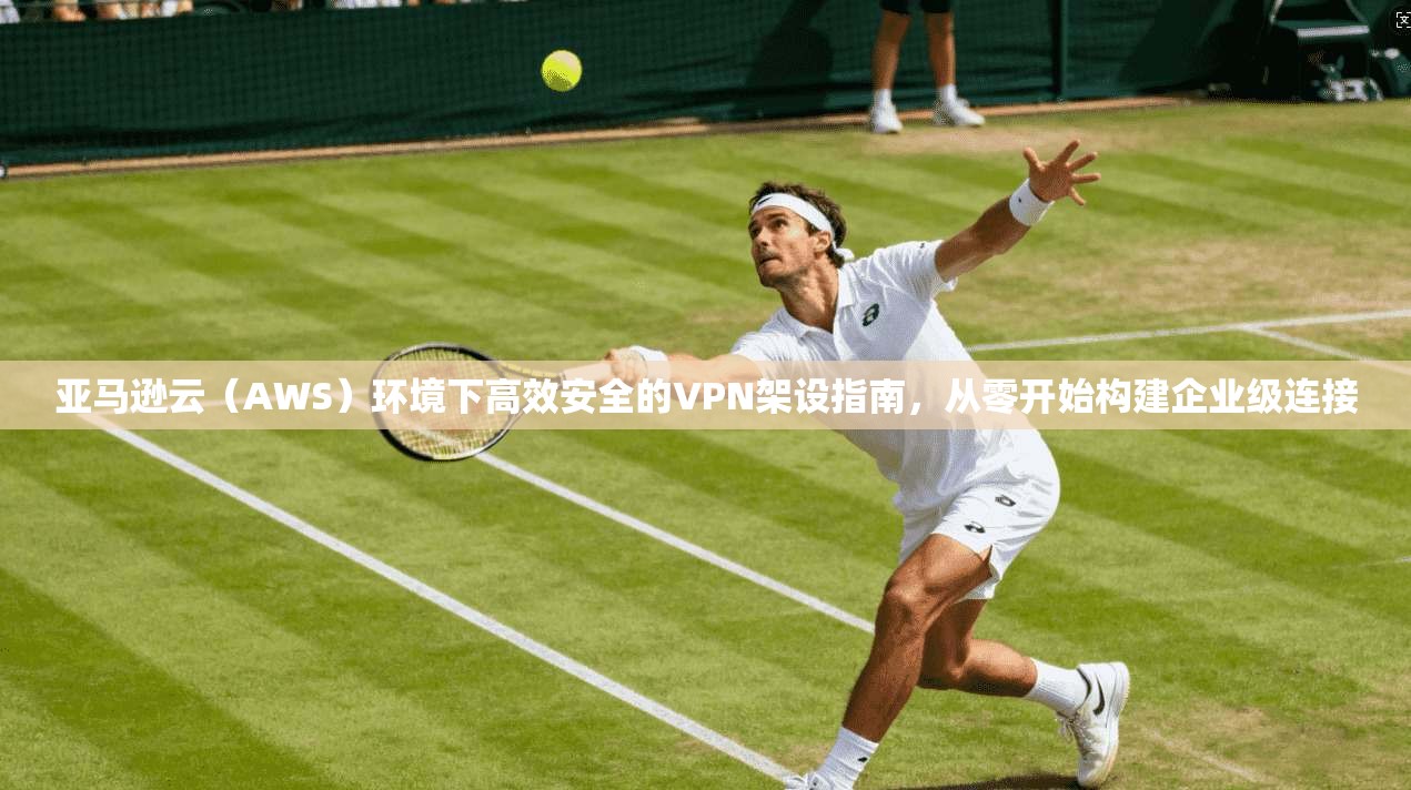 亚马逊云（AWS）环境下高效安全的VPN架设指南，从零开始构建企业级连接