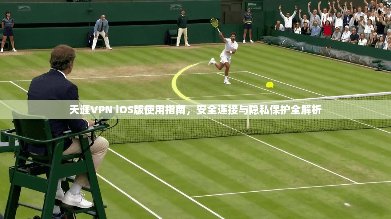 天涯VPN iOS版使用指南，安全连接与隐私保护全解析