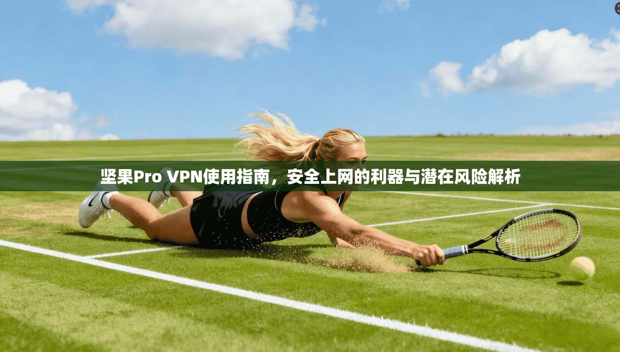 坚果Pro VPN使用指南，安全上网的利器与潜在风险解析