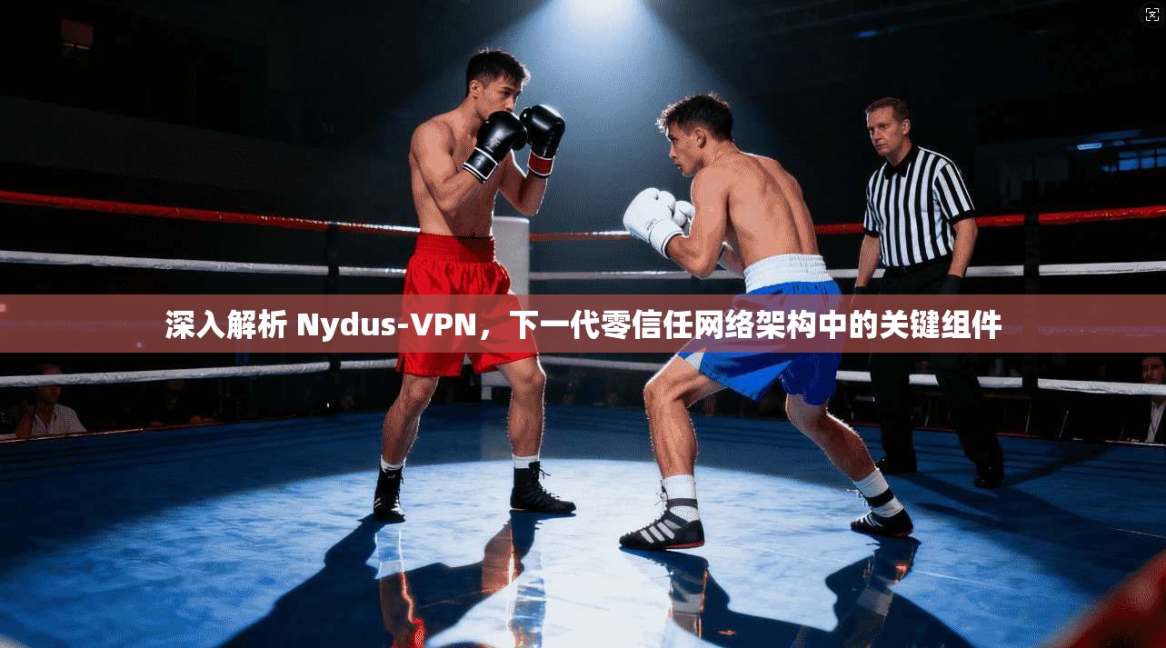 深入解析 Nydus-VPN，下一代零信任网络架构中的关键组件