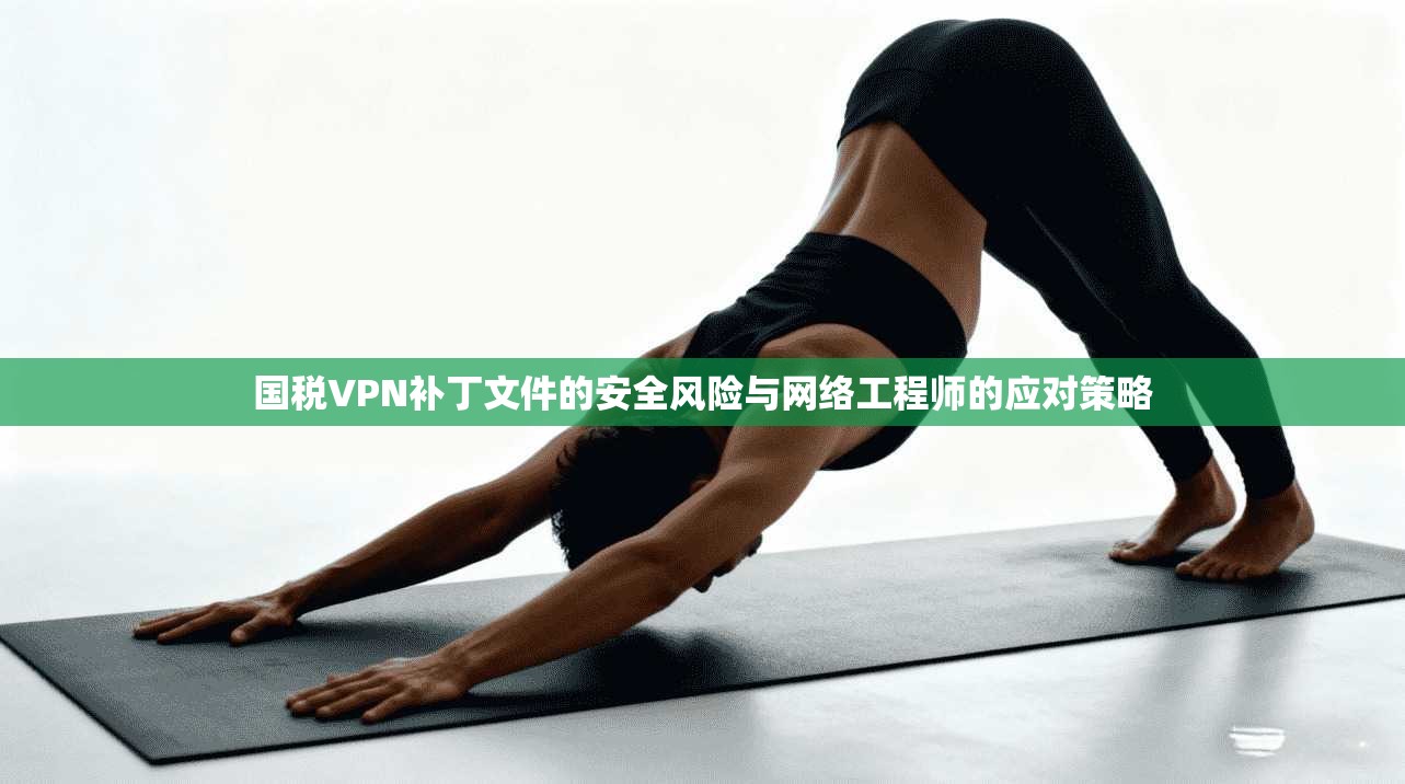 国税VPN补丁文件的安全风险与网络工程师的应对策略