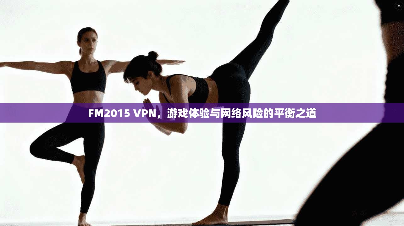 FM2015 VPN，游戏体验与网络风险的平衡之道