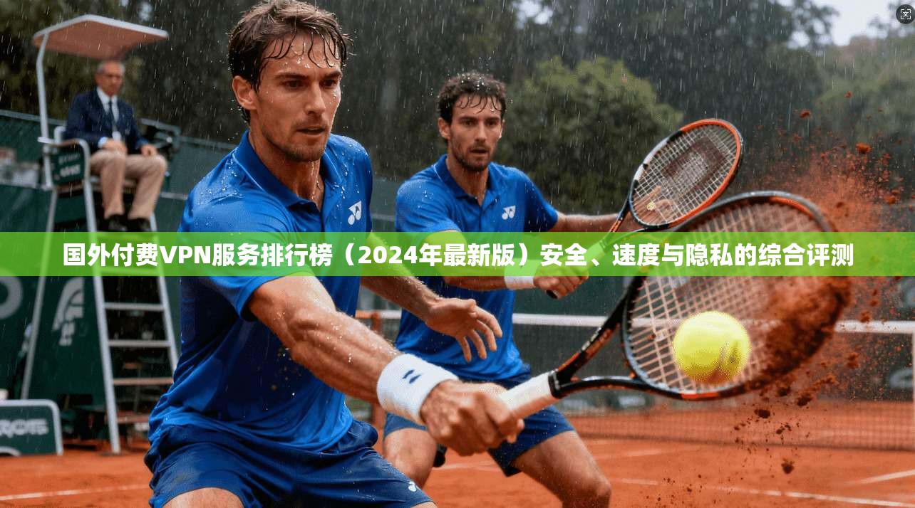国外付费VPN服务排行榜（2024年最新版）安全、速度与隐私的综合评测