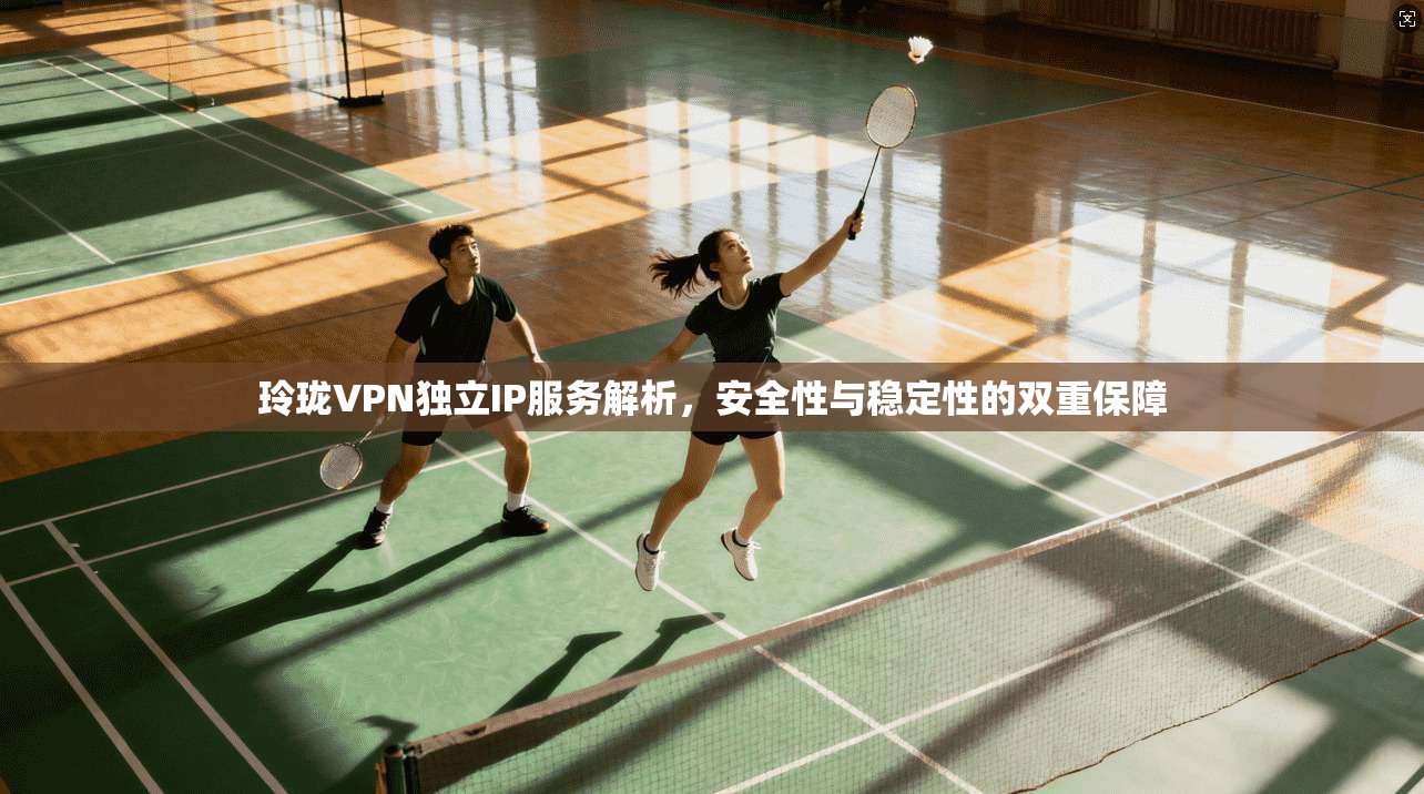 玲珑VPN独立IP服务解析，安全性与稳定性的双重保障