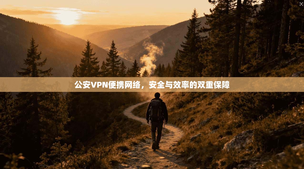 公安VPN便携网络，安全与效率的双重保障