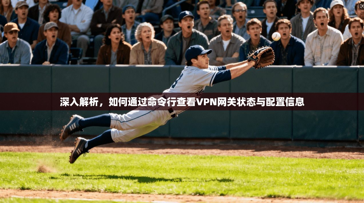深入解析，如何通过命令行查看VPN网关状态与配置信息