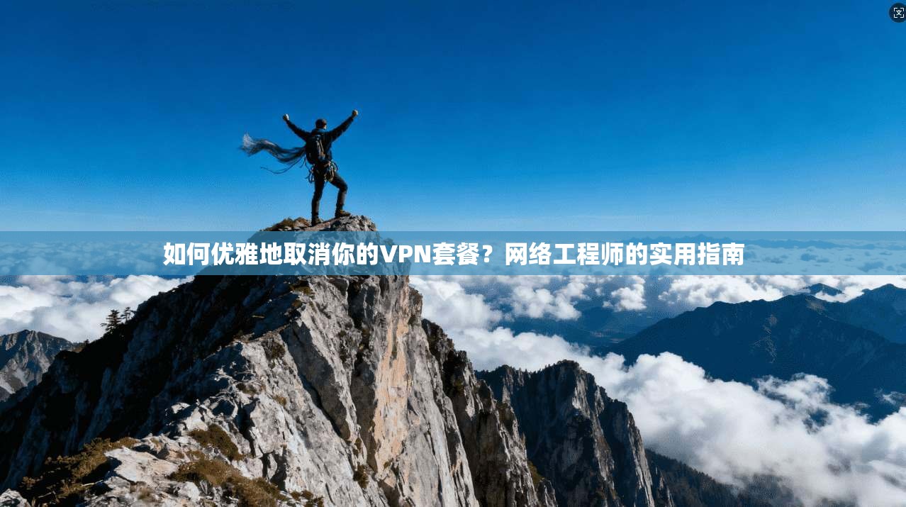 如何优雅地取消你的VPN套餐？网络工程师的实用指南