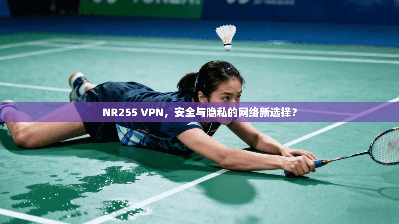 NR255 VPN，安全与隐私的网络新选择？