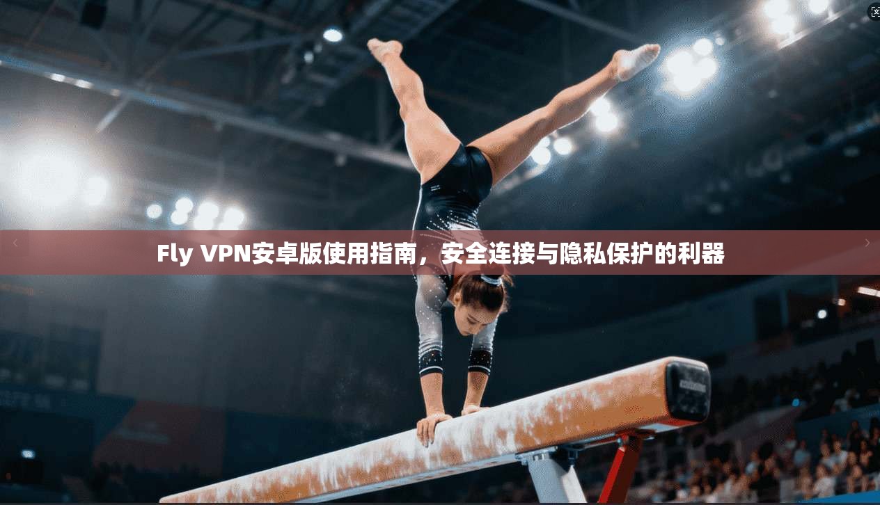 Fly VPN安卓版使用指南，安全连接与隐私保护的利器
