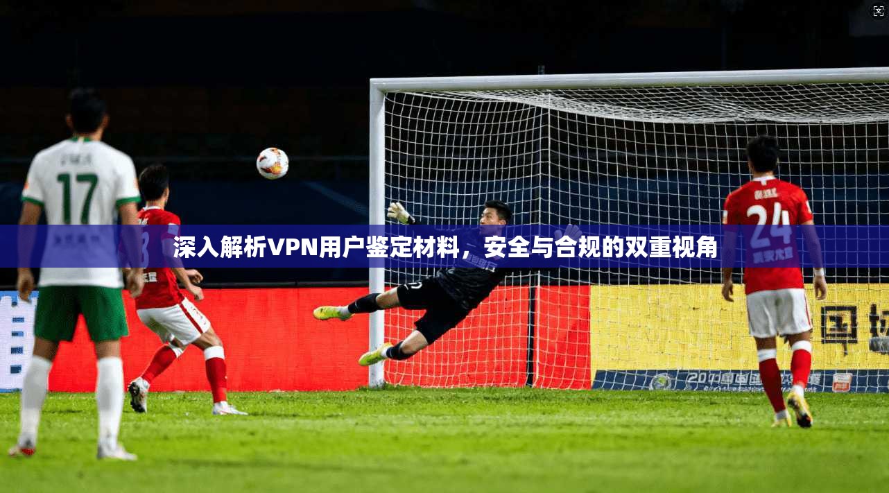 深入解析VPN用户鉴定材料，安全与合规的双重视角