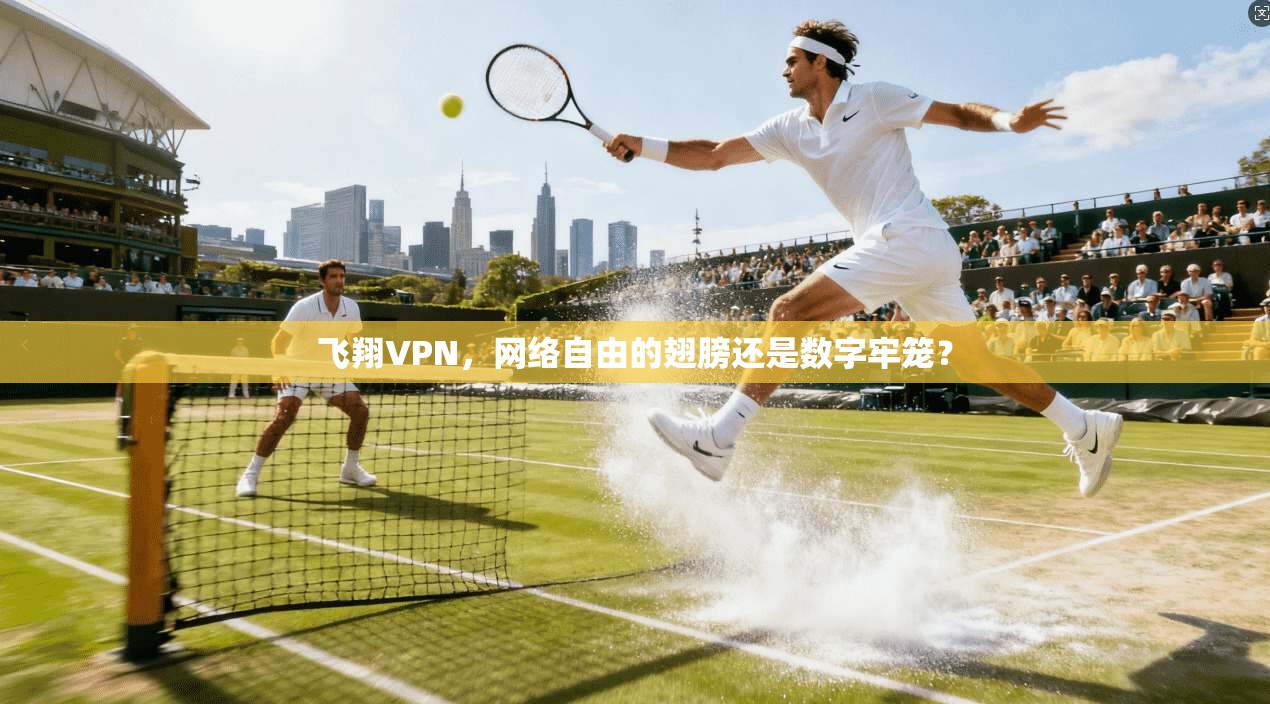 飞翔VPN，网络自由的翅膀还是数字牢笼？