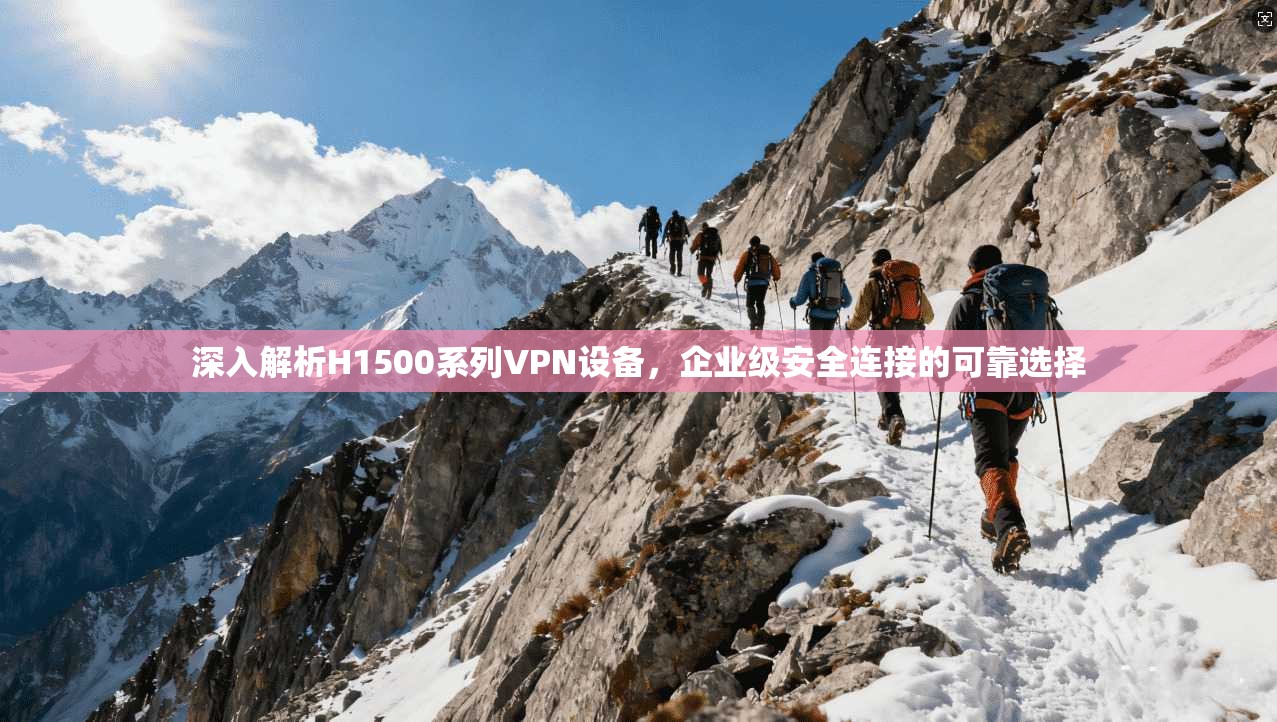 深入解析H1500系列VPN设备，企业级安全连接的可靠选择
