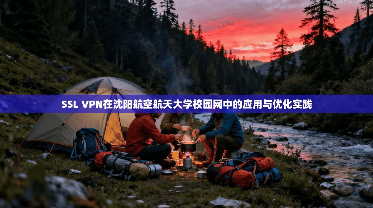 SSL VPN在沈阳航空航天大学校园网中的应用与优化实践