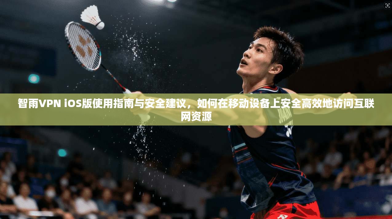 智雨VPN iOS版使用指南与安全建议，如何在移动设备上安全高效地访问互联网资源