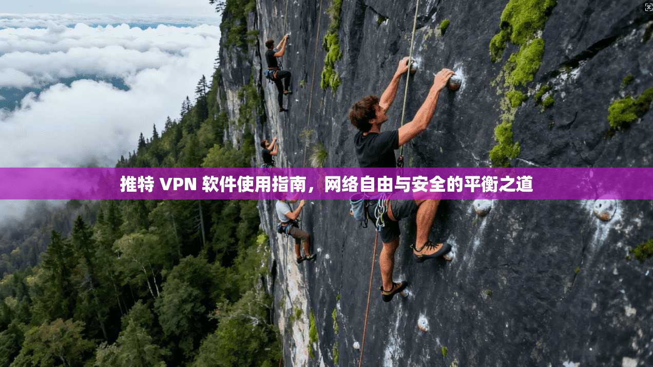 推特 VPN 软件使用指南，网络自由与安全的平衡之道