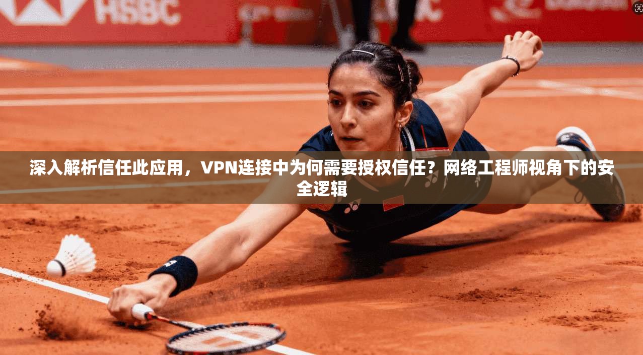 深入解析信任此应用，VPN连接中为何需要授权信任？网络工程师视角下的安全逻辑
