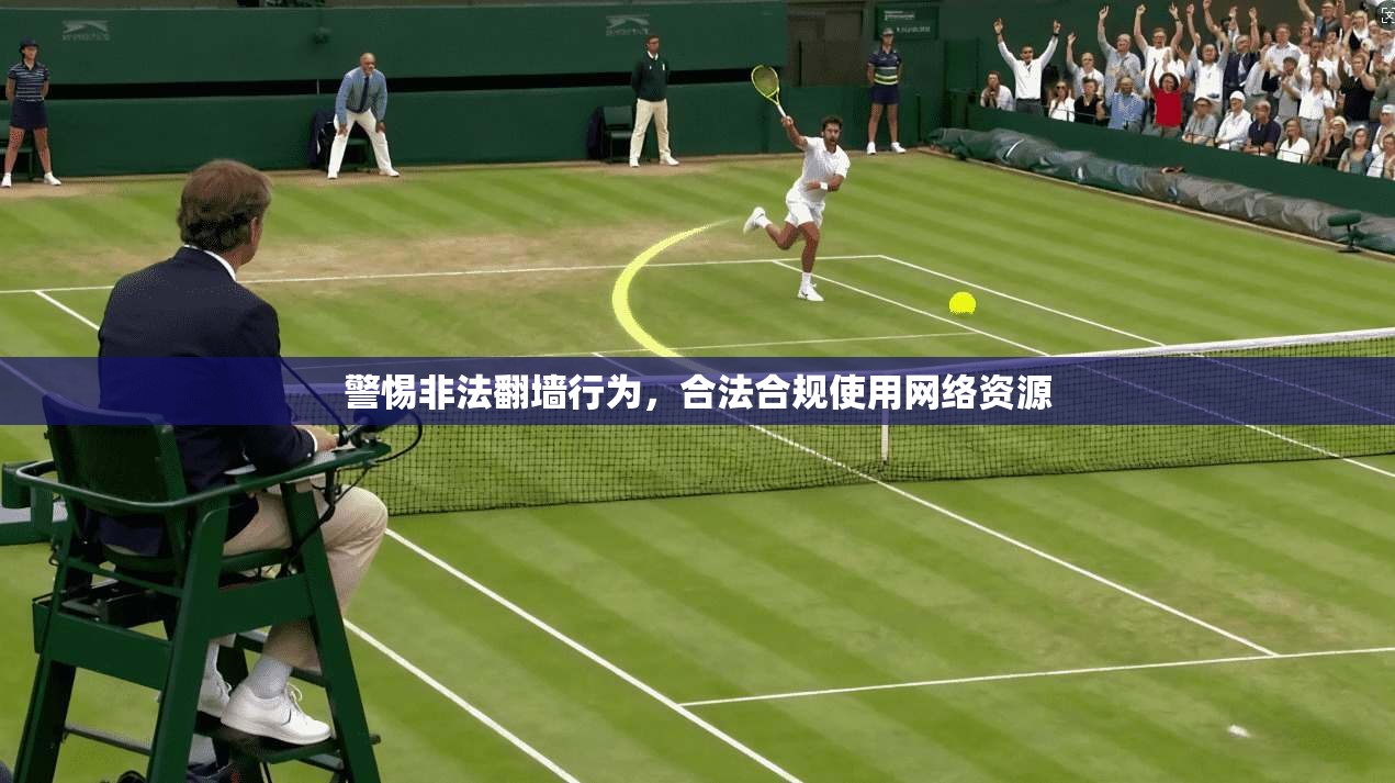 警惕非法翻墙行为，合法合规使用网络资源